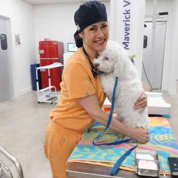 Maverick Veterinary Surgery Service