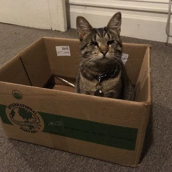 The AdvoCat/ The Nature of the Beast