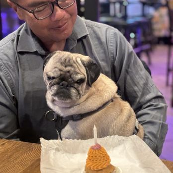 Le Marcel Bakery For Dogs