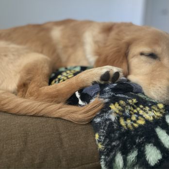 Arroyo Veterinary Clinic