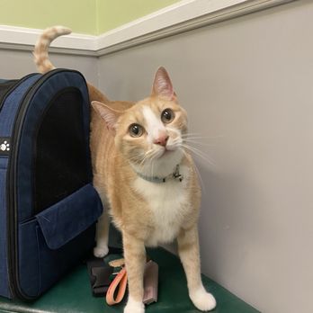 Arroyo Veterinary Clinic