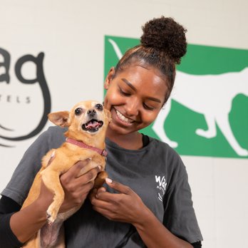 Wag Hotels - Oakland