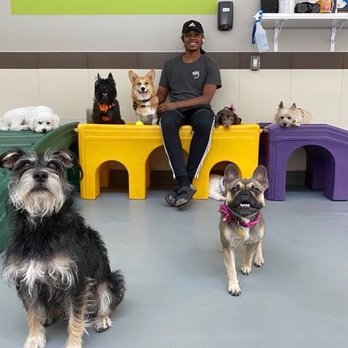 Wag Hotels - Oakland