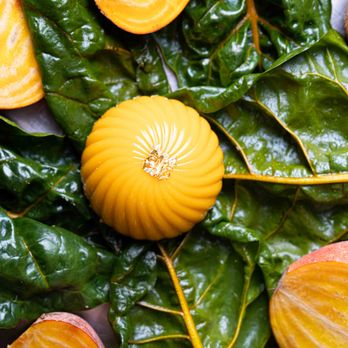 MISHKA Luxury Dog Boutique