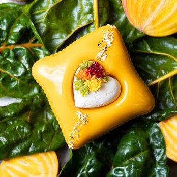 MISHKA Luxury Dog Boutique