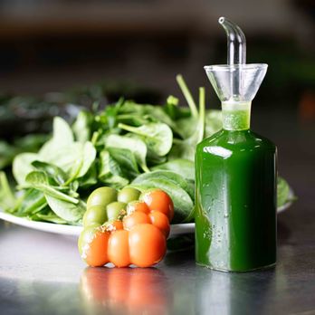 MISHKA Luxury Dog Boutique