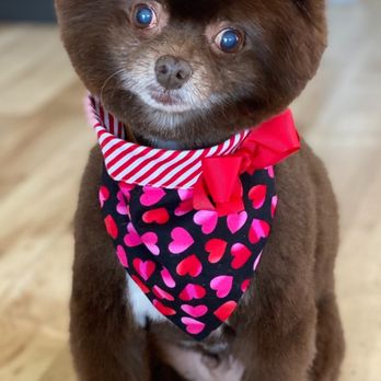 Embarkadero Social Club