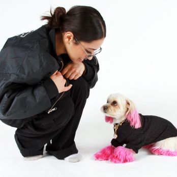 Pet Poses Photography