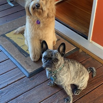 Terra Linda Veterinary Hospital