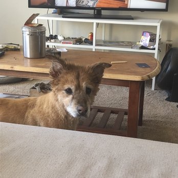 Alameda Mobile Animal Care