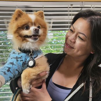 Olive Tree Animal Hospital