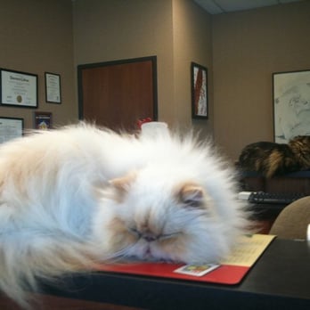 Calaveras Veterinary Clinic