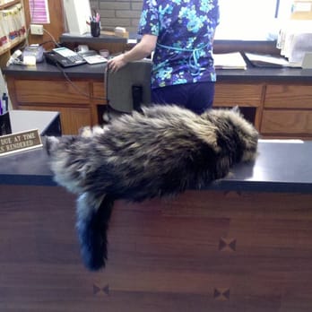 Calaveras Veterinary Clinic