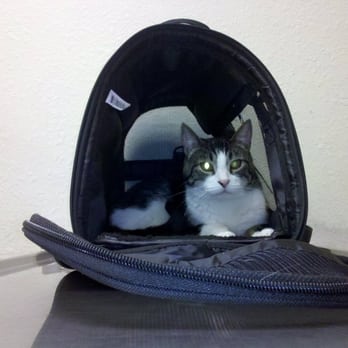 Calaveras Veterinary Clinic