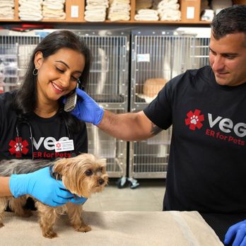 VEG ER for Pets