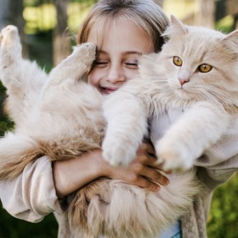 Kirkwood Veterinary Hospital