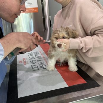 Midtown Veterinary Hospital