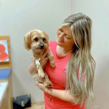 Westbury Animal Hospital