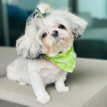 Garden Oaks Veterinary Center