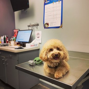 Garden Oaks Veterinary Center