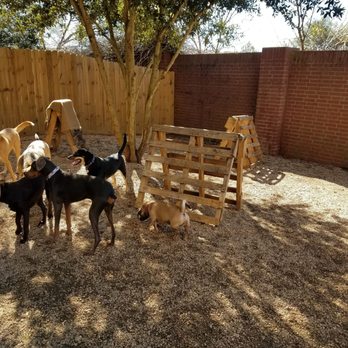 Texas Doggie Daycare