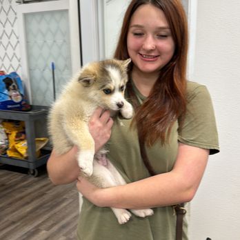 Pets Gone Wild Resort