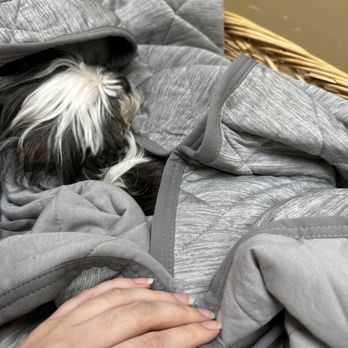 Alief Animal Hospital