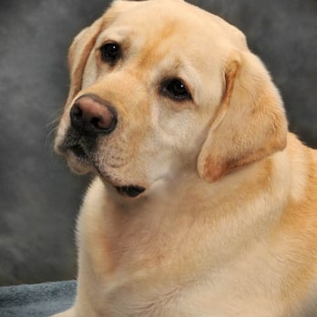 Longenbaugh Veterinary Hospital