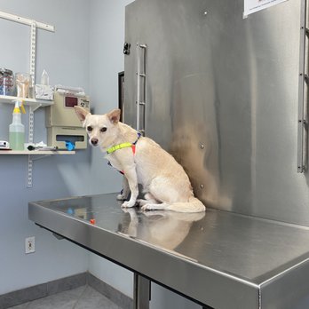 Willowbrook Animal Hospital