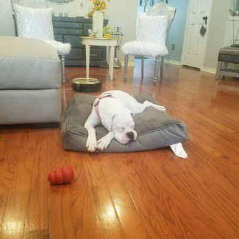 Willowbrook Animal Hospital