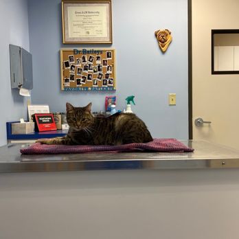 Sugar Land Pet Hospital