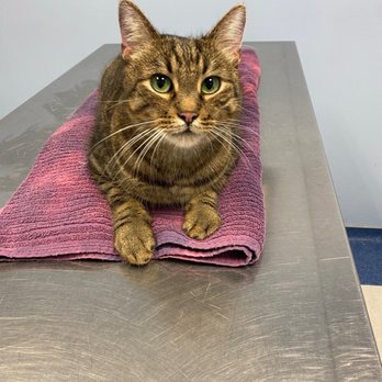 Sugar Land Pet Hospital