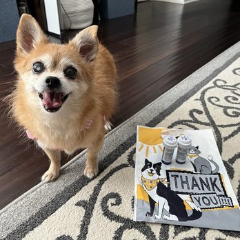 Sugar Land Pet Hospital