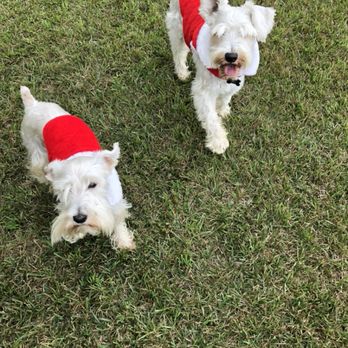 Aussie Pet Mobile Katy & Cypress