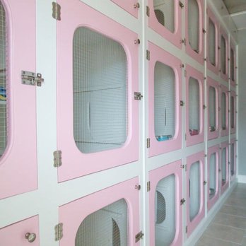 Ruff Ruff Paradise Pet Care & More