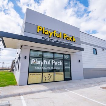 Playful Pack Dog Daycare & Boarding