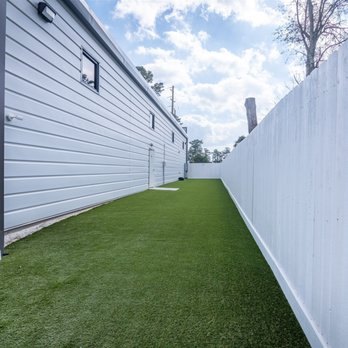 Playful Pack Dog Daycare & Boarding