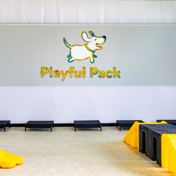 Playful Pack Dog Daycare & Boarding