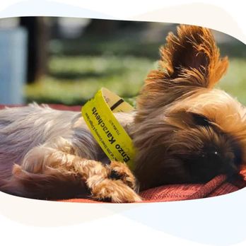 Bone on the Bayou on 20th Street