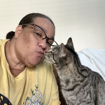 Animal ER of NW Houston