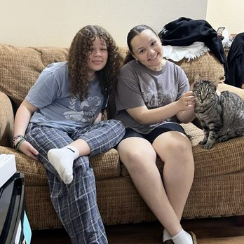 Animal ER of NW Houston