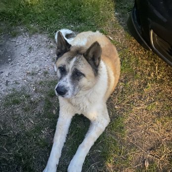 Shadow Creek Veterinary Clinic