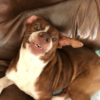 Shadow Creek Veterinary Clinic