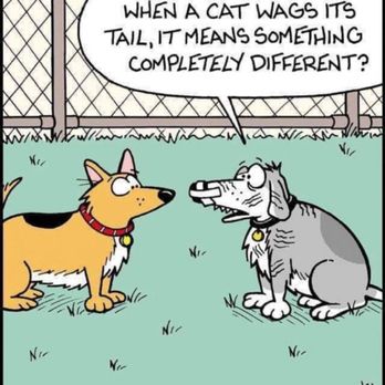 PetCheck Animal Clinic