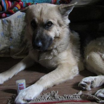 Hicks Farms Boarding and Training