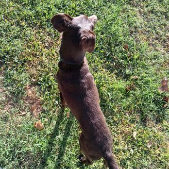 Hicks Farms Boarding and Training