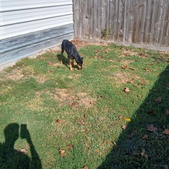 Hicks Farms Boarding and Training