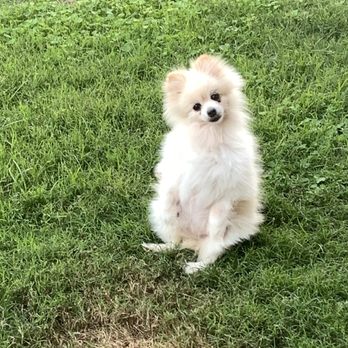 Gulfgate Animal Hospital