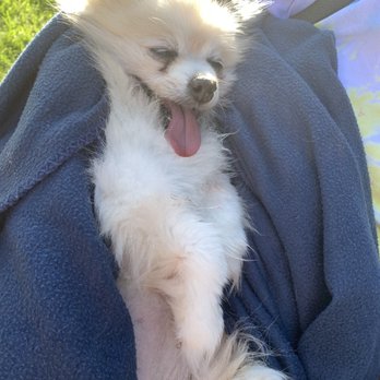 Gulfgate Animal Hospital