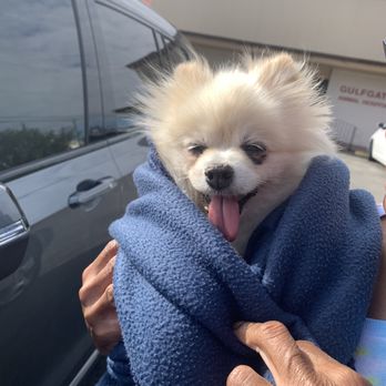 Gulfgate Animal Hospital